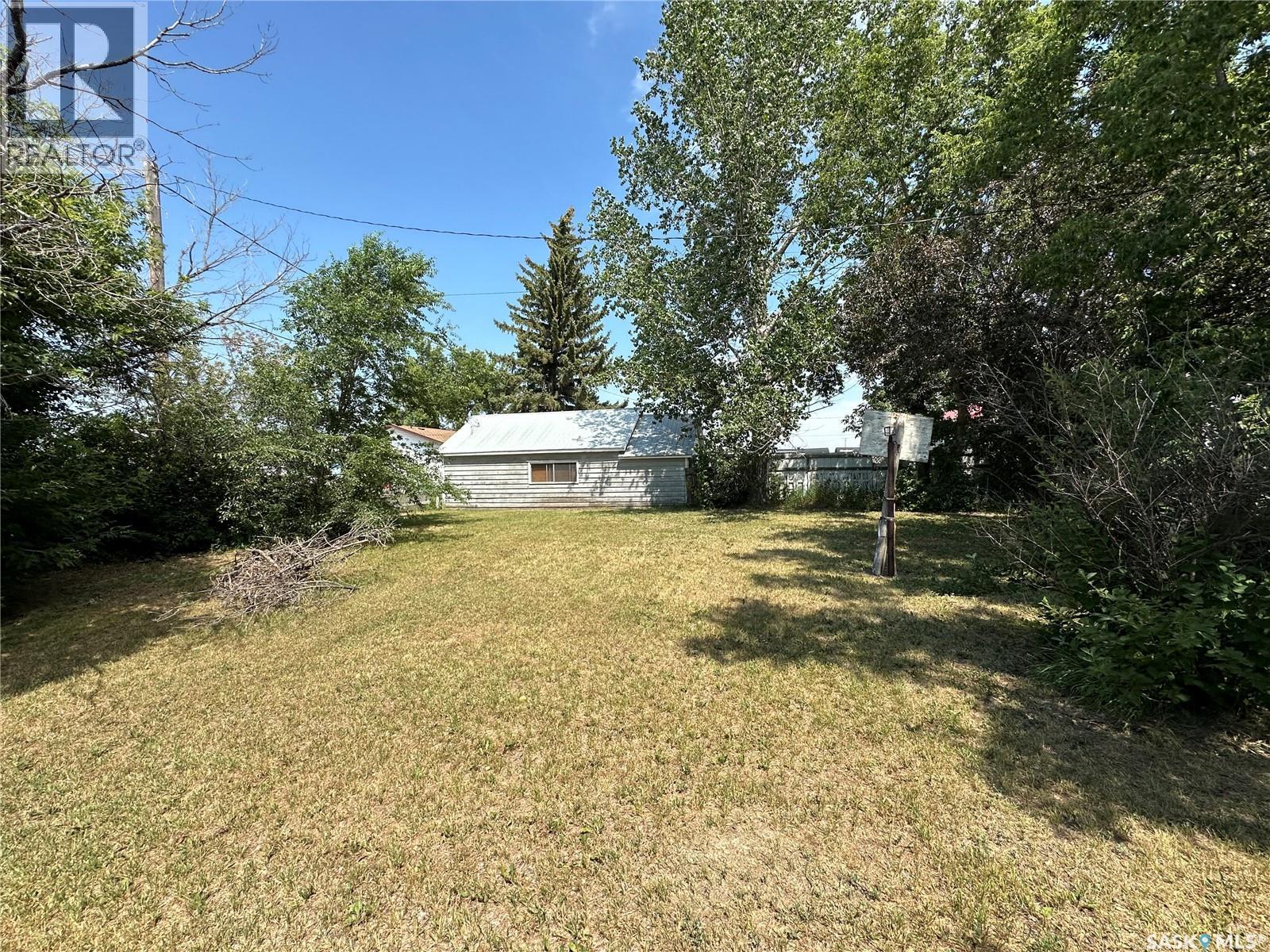 1225 Halifax Street, Halbrite, Saskatchewan  S0C 1H0 - Photo 21 - SK012914