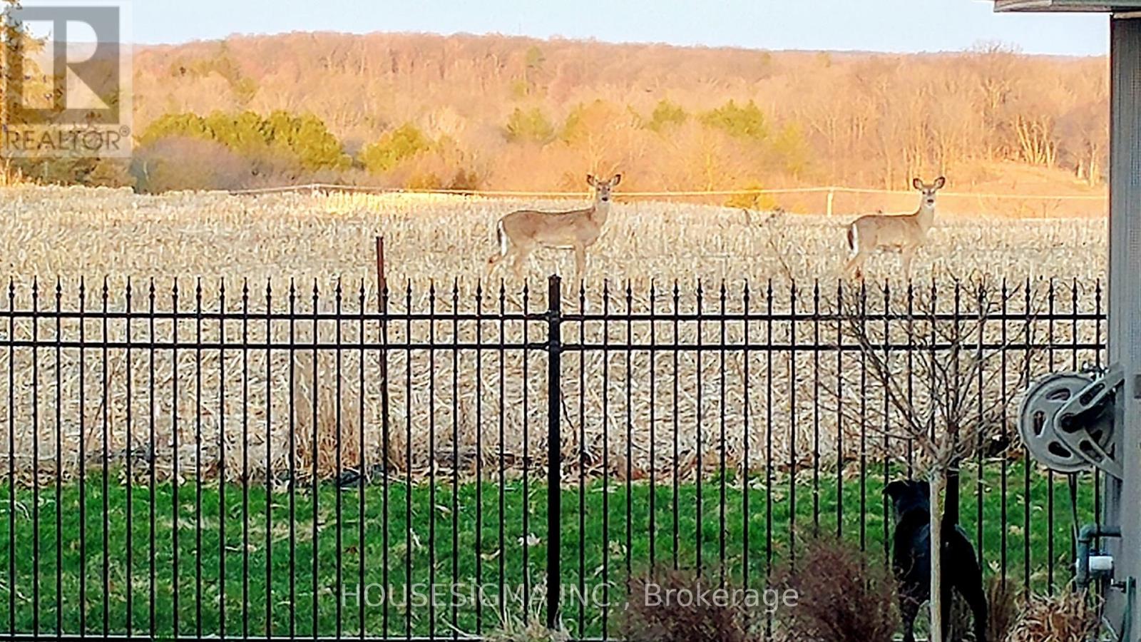 2203 Wickerson Road, London South, Ontario  N6K 0C3 - Photo 45 - X12428713