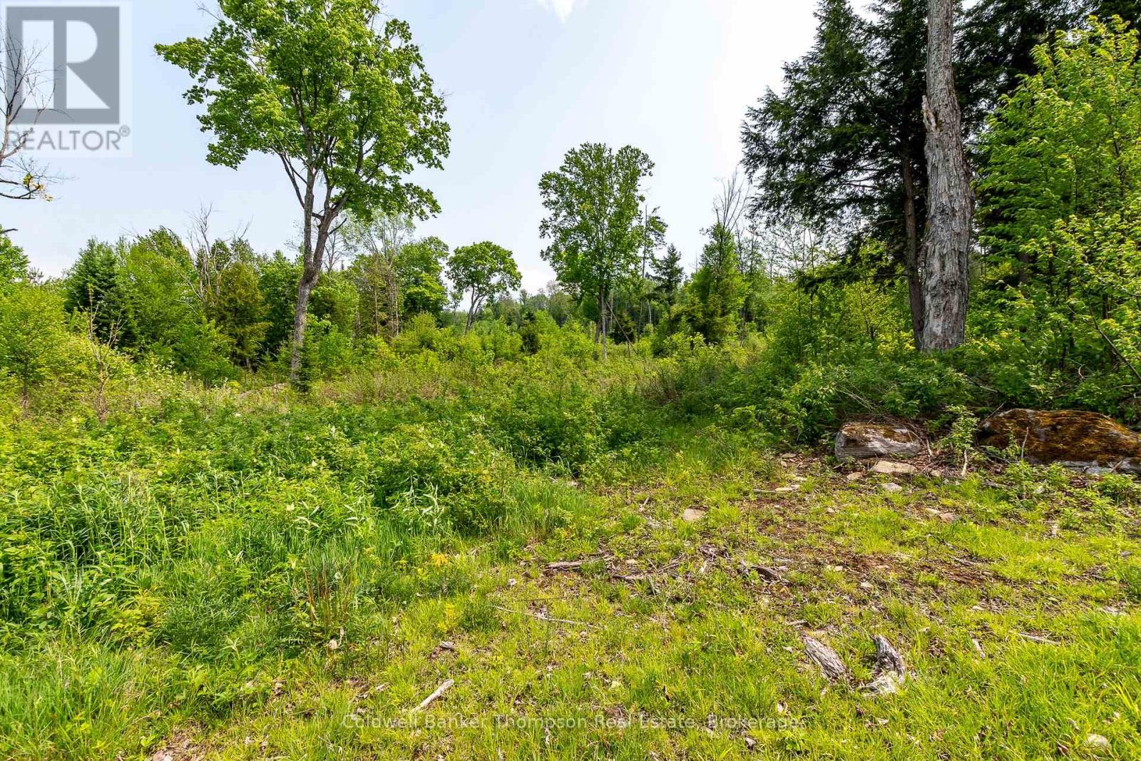 223 Peggs Mountain Road, Armour, Ontario  P0A 1C0 - Photo 10 - X12428755
