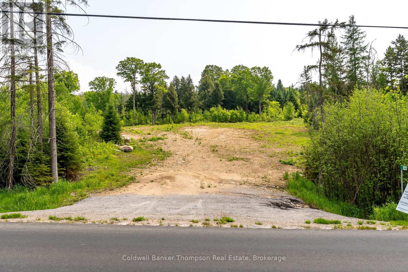 223 Peggs Mountain Road, Armour, Ontario  P0A 1C0 - Photo 4 - X12428755