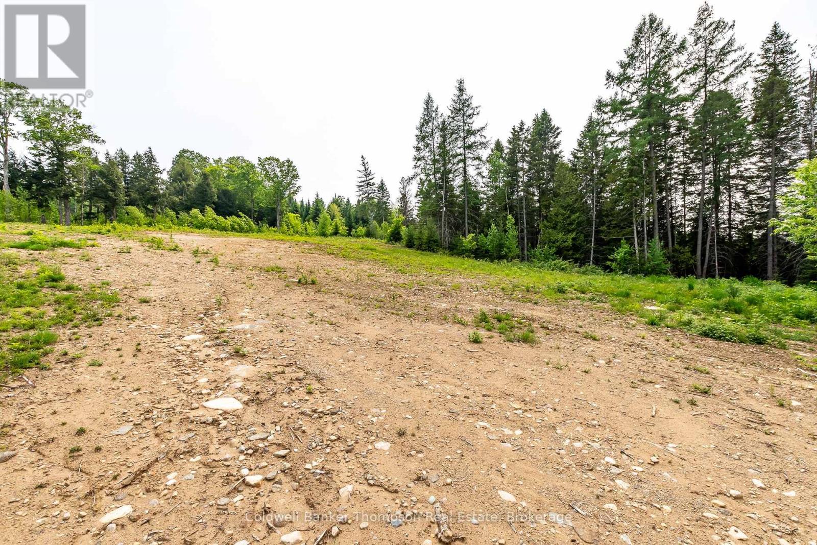 223 Peggs Mountain Road, Armour, Ontario  P0A 1C0 - Photo 5 - X12428755