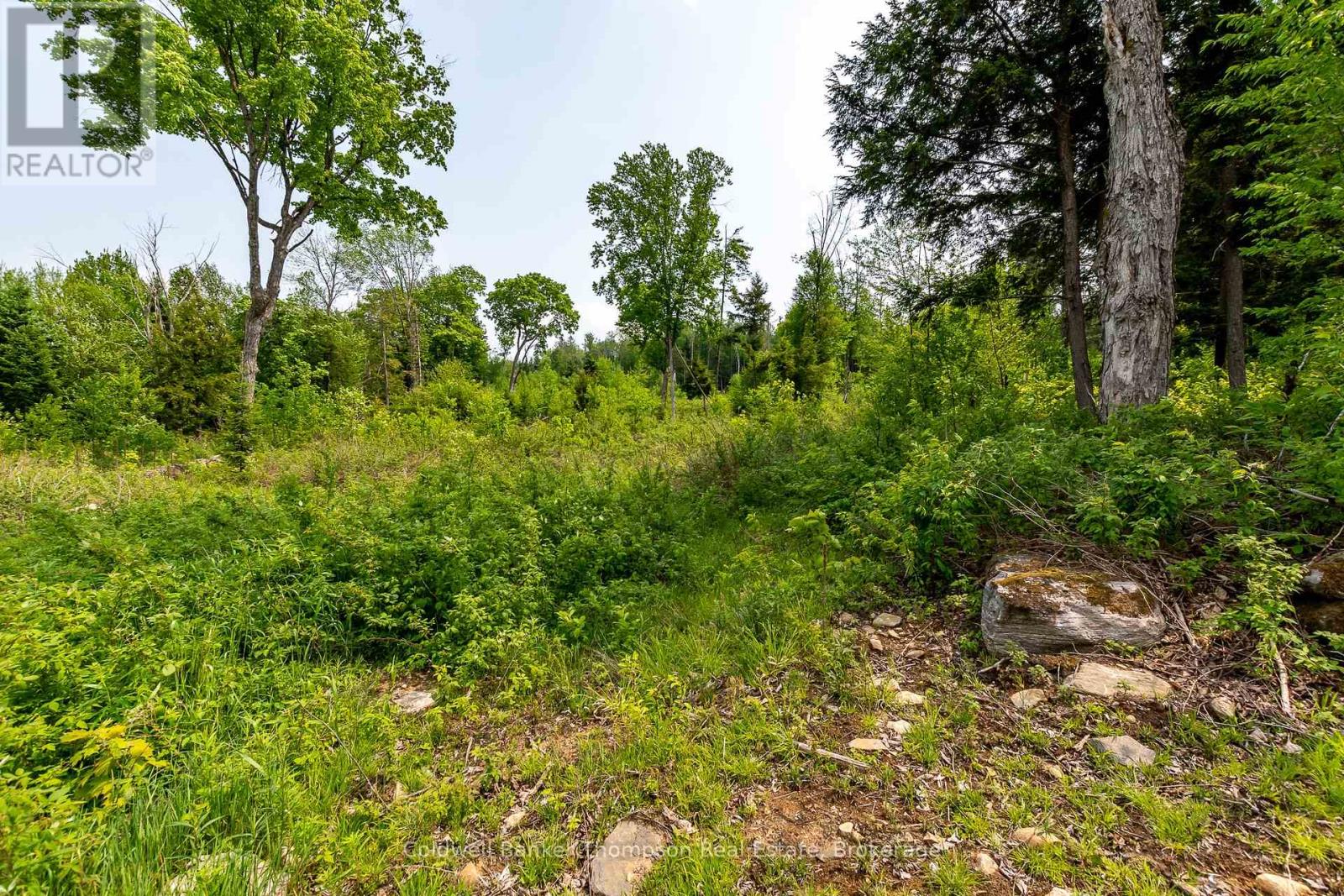 223 Peggs Mountain Road, Armour, Ontario  P0A 1C0 - Photo 8 - X12428755