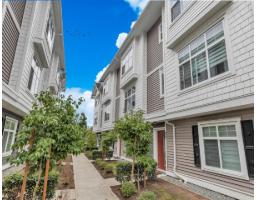 11 2033 MCKENZIE ROAD