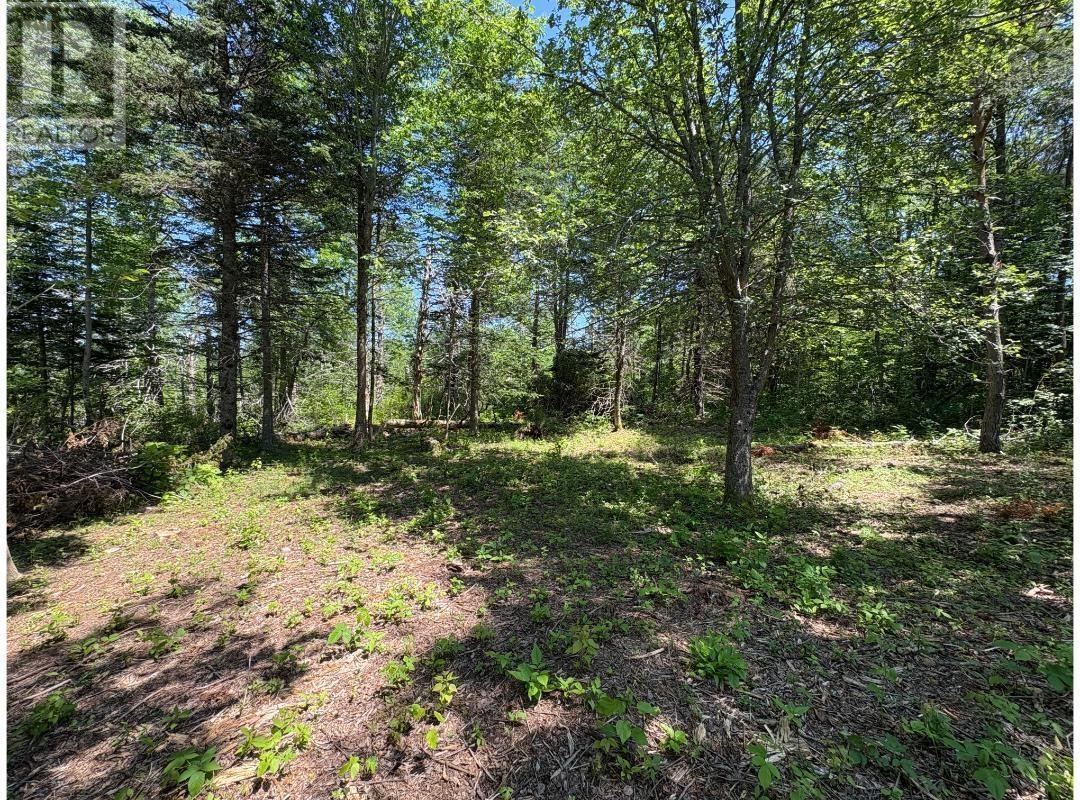 6908 Highway 12, Aldersville, Nova Scotia  B0J 2M0 - Photo 12 - 202517681