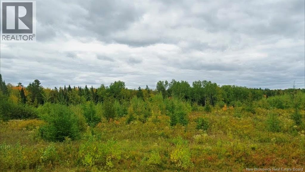 Lot North Black River Road, Black River Bridge, New Brunswick  E1N 5S4 - Photo 1 - NB127480