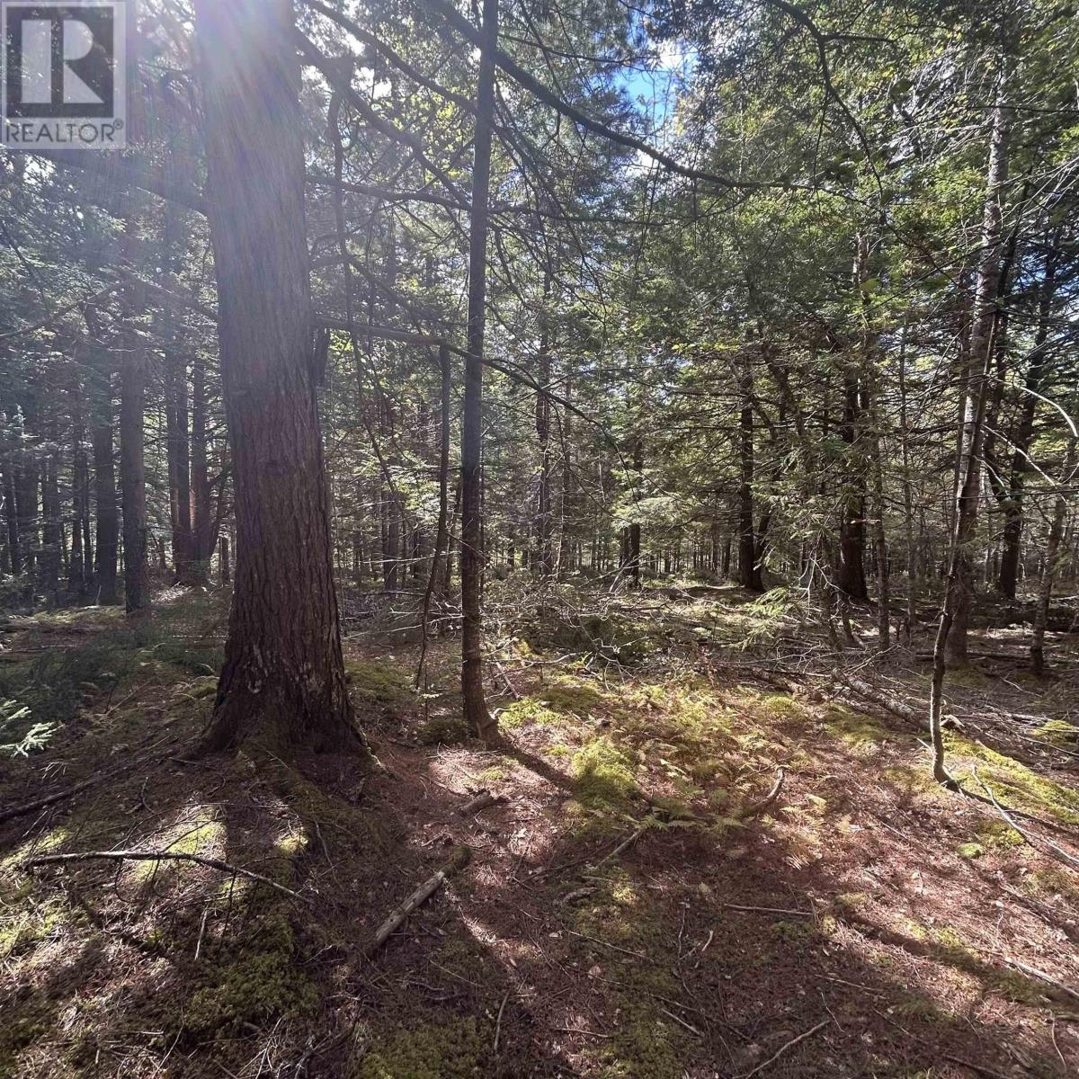 Lot 25-2 Conquerall Mills Road, Conquerall Mills, Nova Scotia  B4V 7A3 - Photo 6 - 202524451