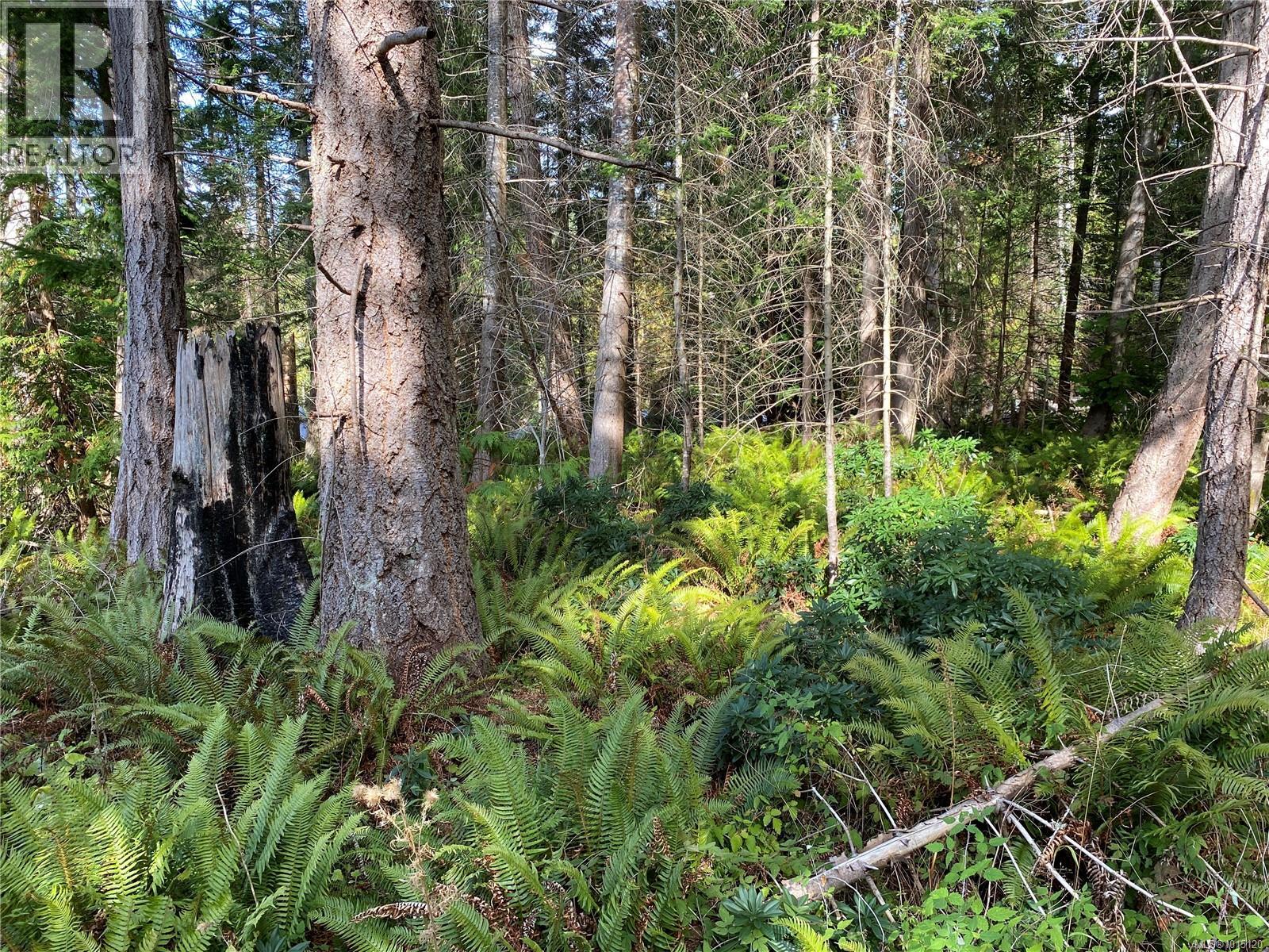 Lt 39 Jackpine St, Gabriola Island, British Columbia  V0R 1X1 - Photo 10 - 1015120