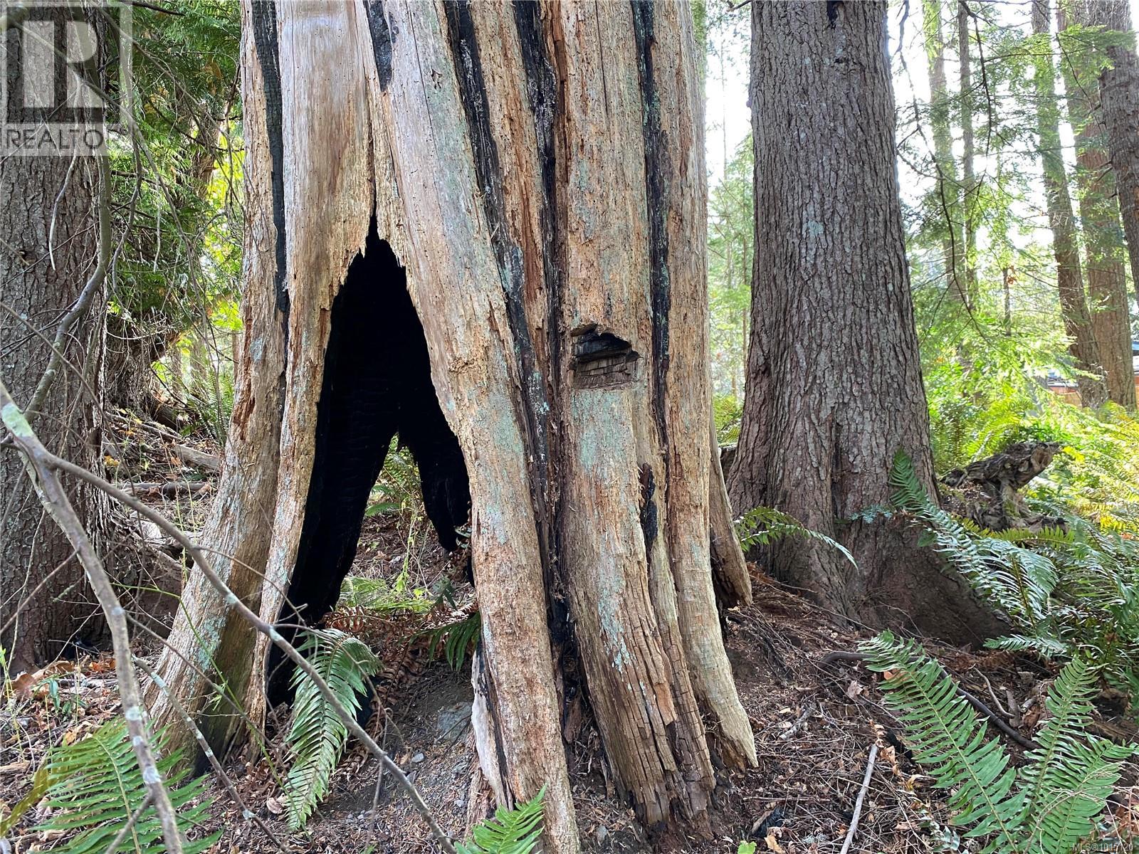 Lt 39 Jackpine St, Gabriola Island, British Columbia  V0R 1X1 - Photo 13 - 1015120