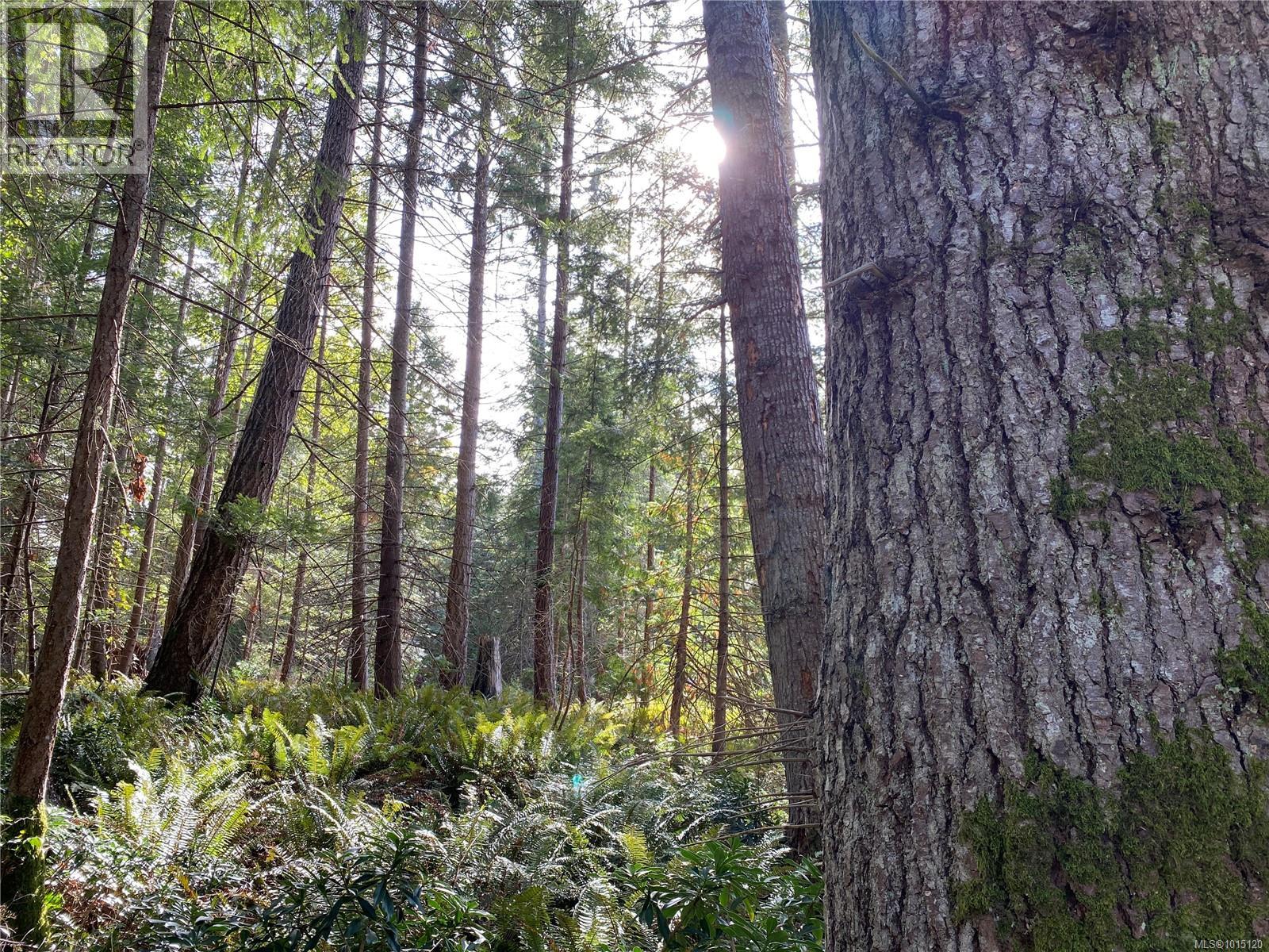 Lt 39 Jackpine St, Gabriola Island, British Columbia  V0R 1X1 - Photo 14 - 1015120