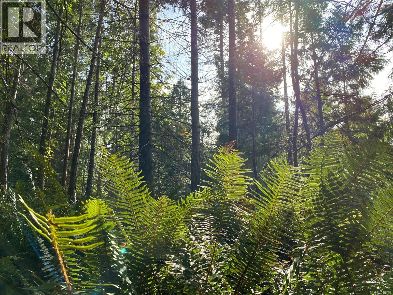 Lt 39 Jackpine St, Gabriola Island, British Columbia  V0R 1X1 - Photo 15 - 1015120