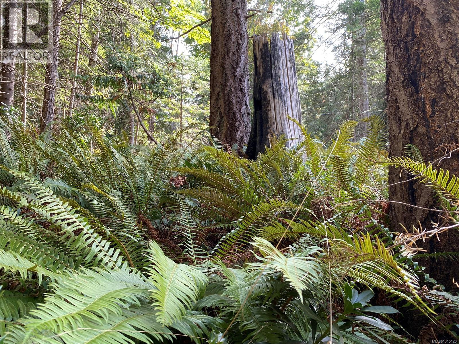 Lt 39 Jackpine St, Gabriola Island, British Columbia  V0R 1X1 - Photo 16 - 1015120