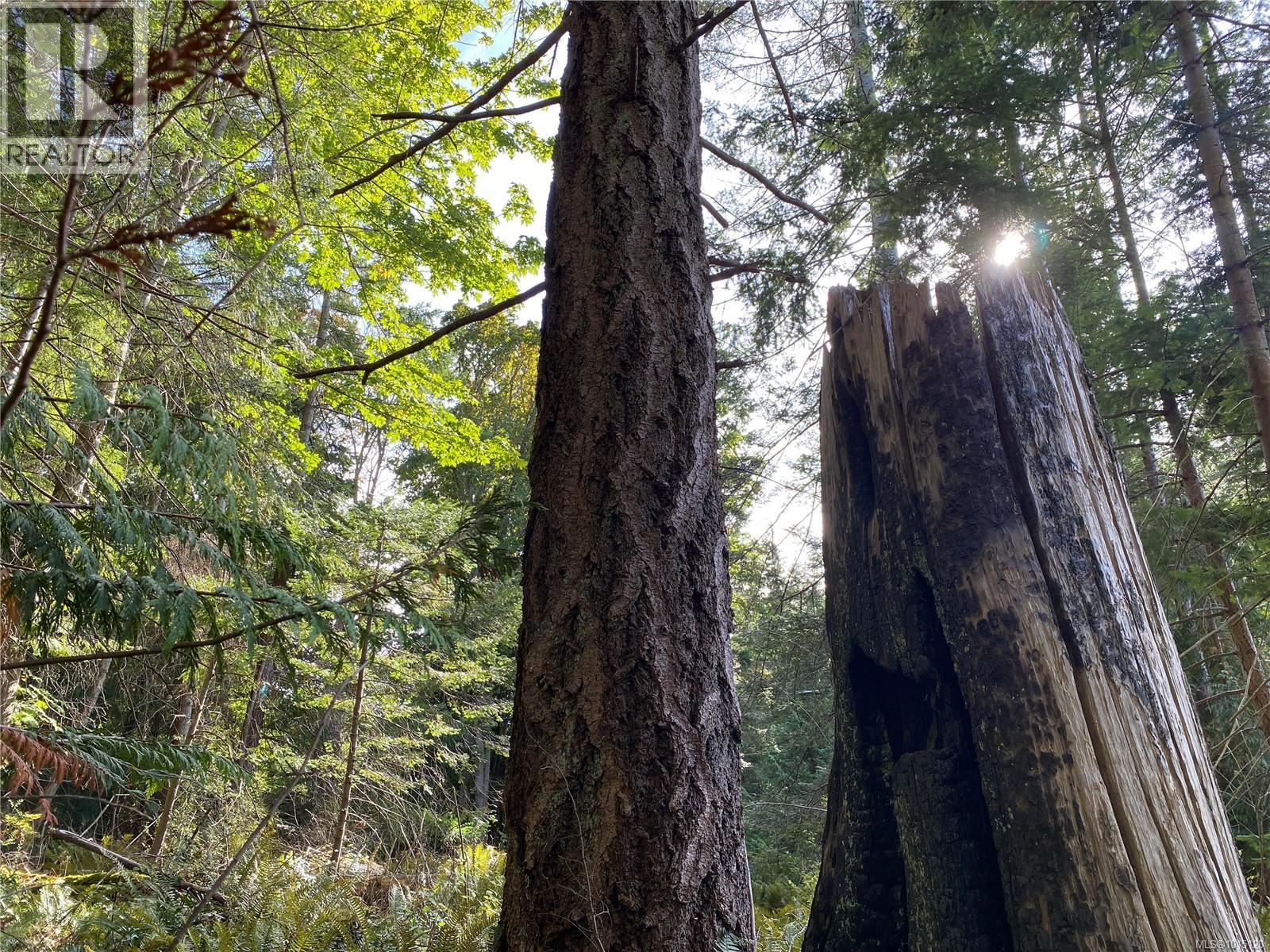 Lt 39 Jackpine St, Gabriola Island, British Columbia  V0R 1X1 - Photo 17 - 1015120
