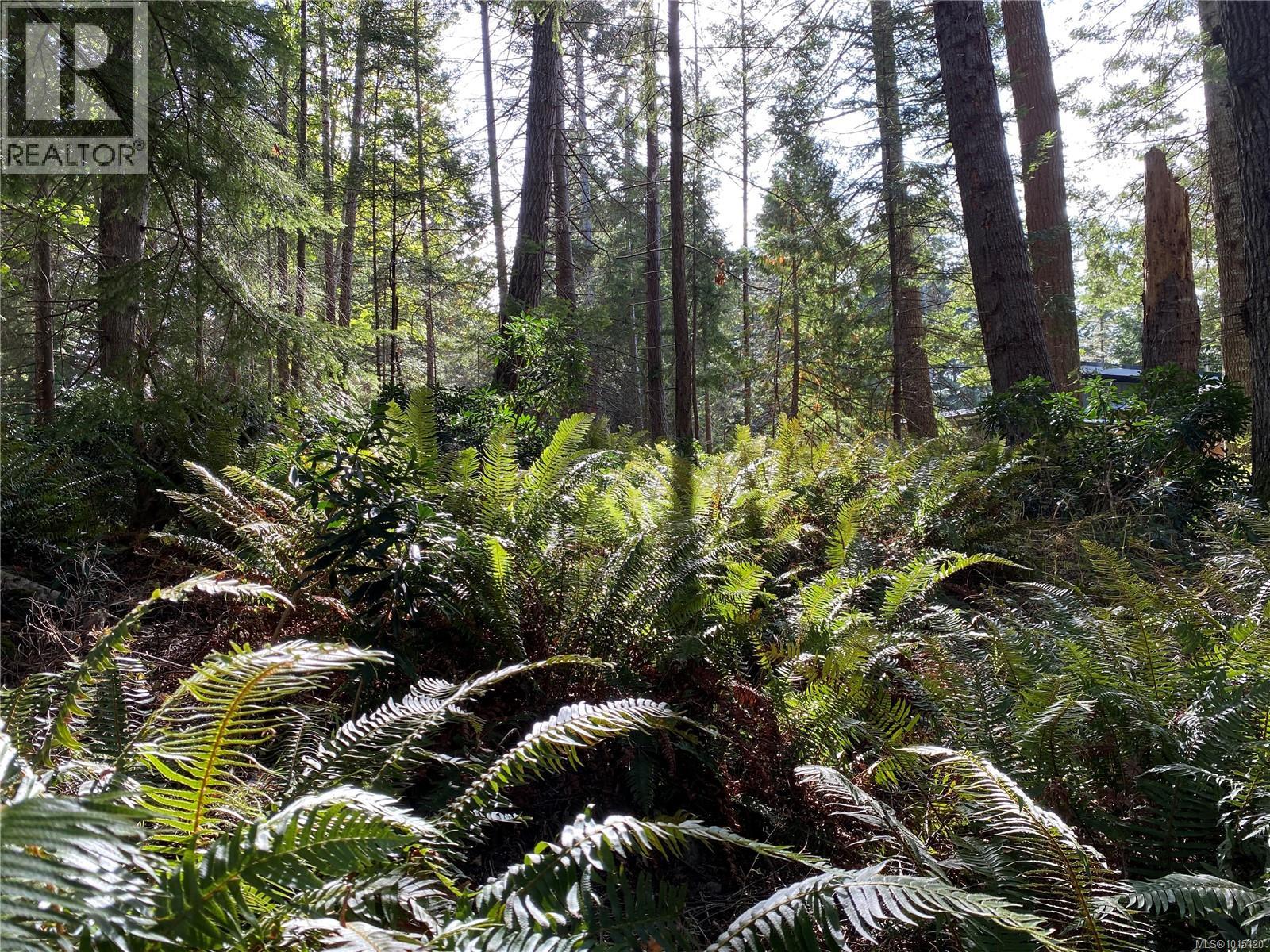 Lt 39 Jackpine St, Gabriola Island, British Columbia  V0R 1X1 - Photo 18 - 1015120