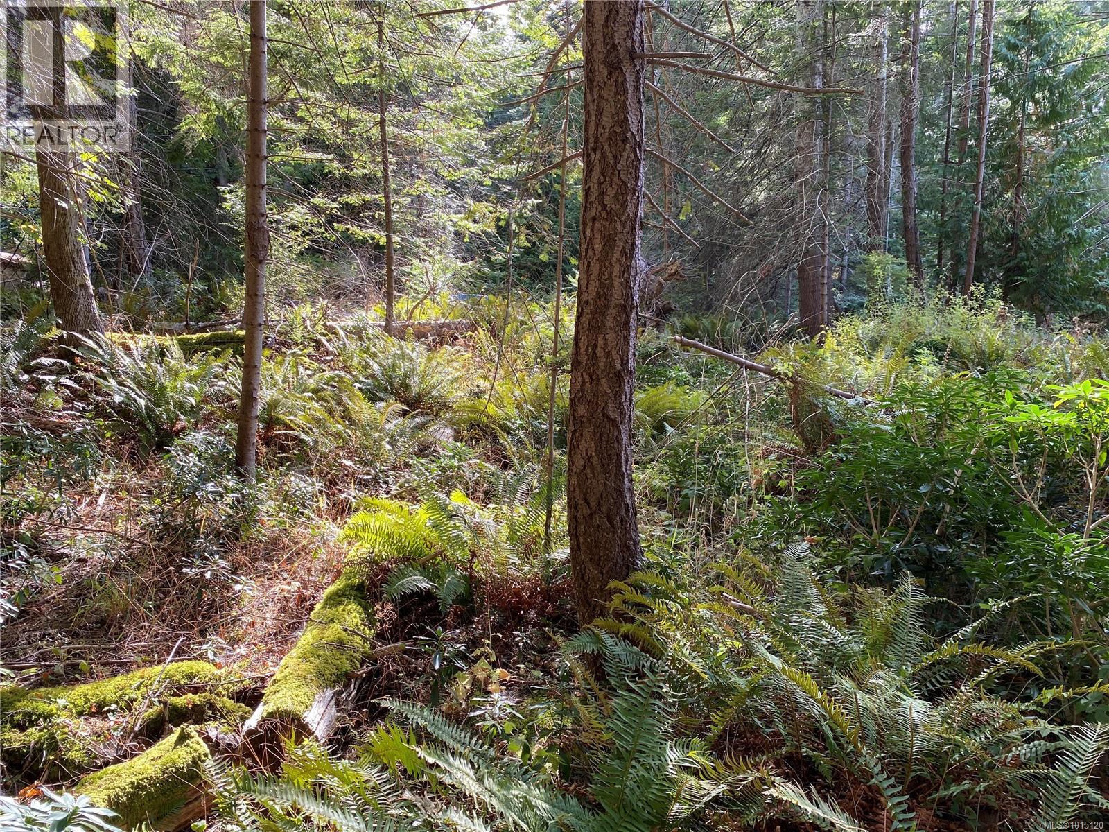 Lt 39 Jackpine St, Gabriola Island, British Columbia  V0R 1X1 - Photo 2 - 1015120