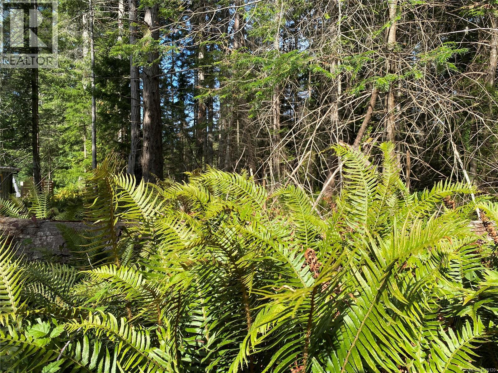 Lt 39 Jackpine St, Gabriola Island, British Columbia  V0R 1X1 - Photo 7 - 1015120