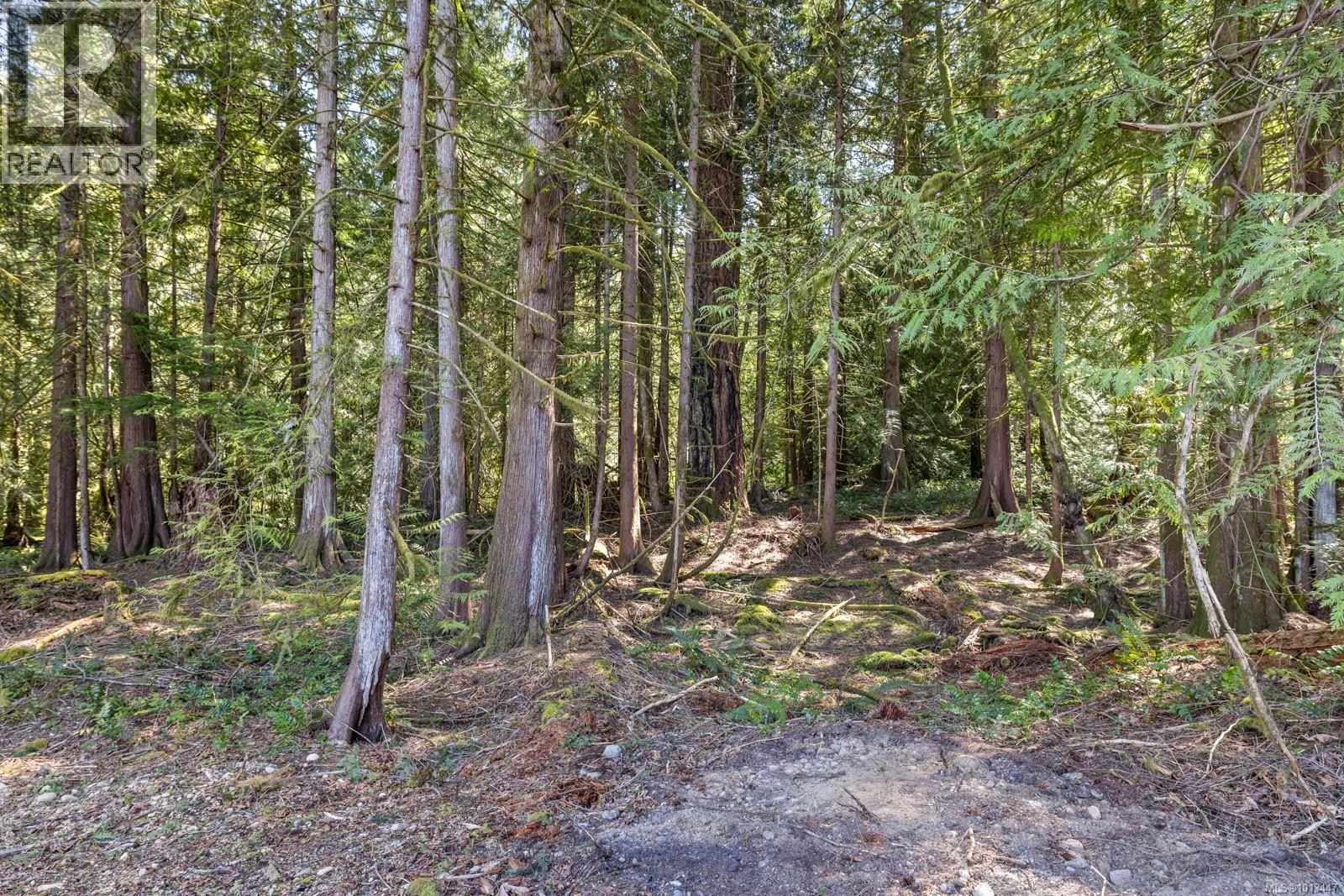 1054 Fern Ridge Dr, Mill Bay, British Columbia  V0R 2P2 - Photo 59 - 1013447