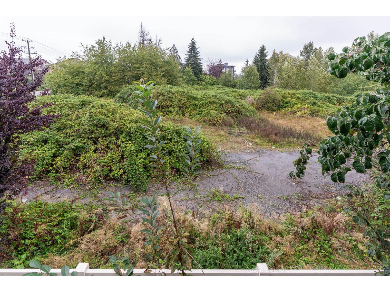 Lorem Ipsum Dolor S, Langley, British Columbia  V2Y  - Photo 19 - DEMO28901133