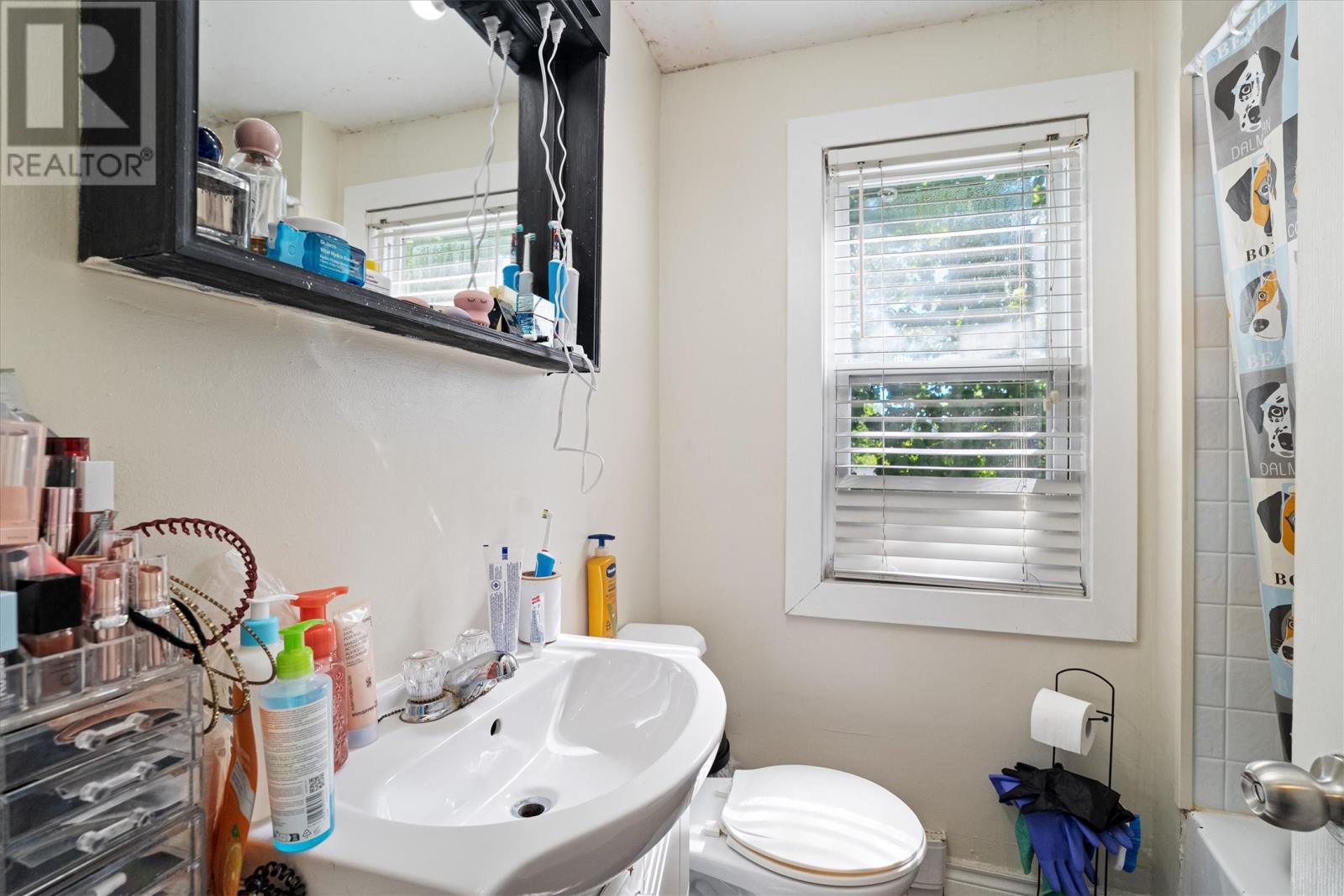 13 Argyle Street, St. John's, Newfoundland & Labrador  A1A 1V4 - Photo 19 - 1290949