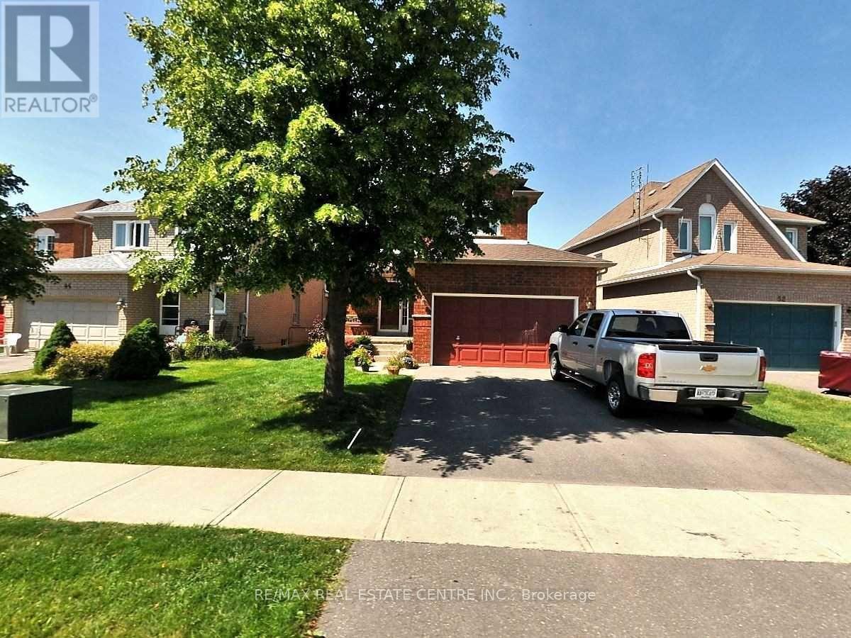 (BASEMENT) - 48 LETTY AVENUE, Brampton, Ontario