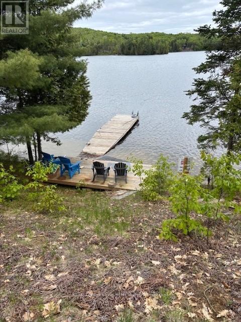 25 Fire Route 330 Drive, Trent Lakes, Ontario  K0M 1R0 - Photo 10 - X12404026
