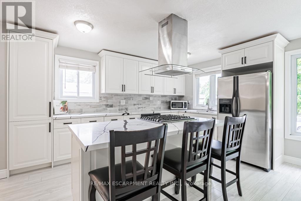12 Quinlan Court, Hamilton, Ontario  L8W 1K1 - Photo 10 - X12429141