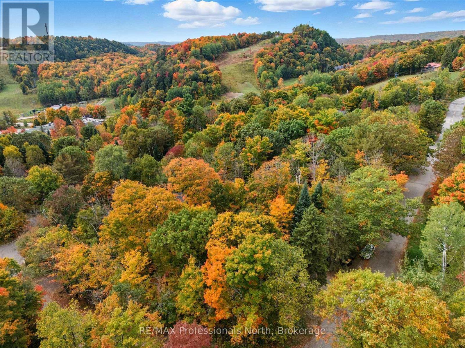 1755 Skyline Drive, Huntsville, Ontario  P1H 1A7 - Photo 22 - X12429282