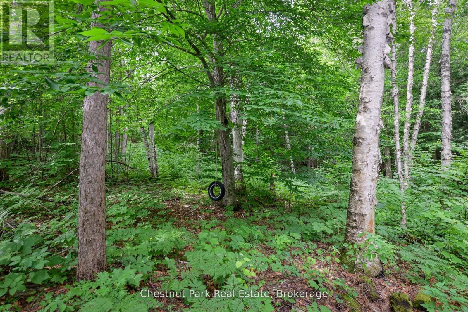26 Taylor Island 26lm, Gravenhurst, Ontario  P1P 1R2 - Photo 38 - X12279239
