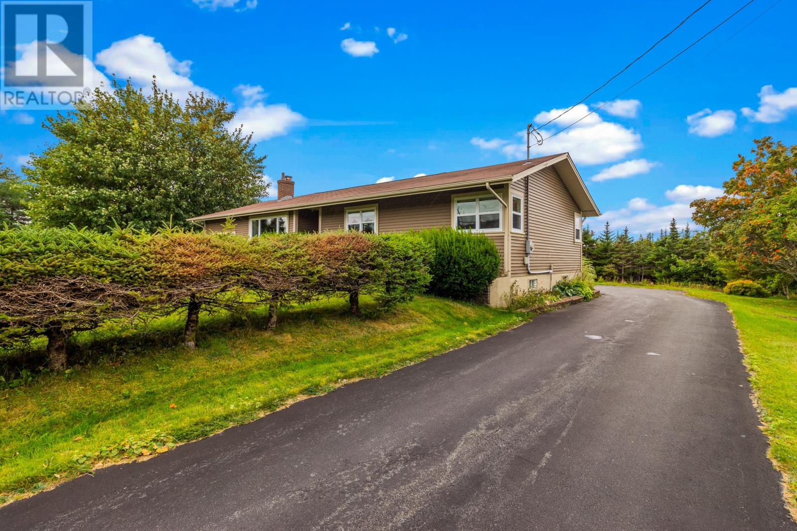 86 Salmonier Line, Holyrood, Newfoundland & Labrador  A0A 2R0 - Photo 3 - 1290854