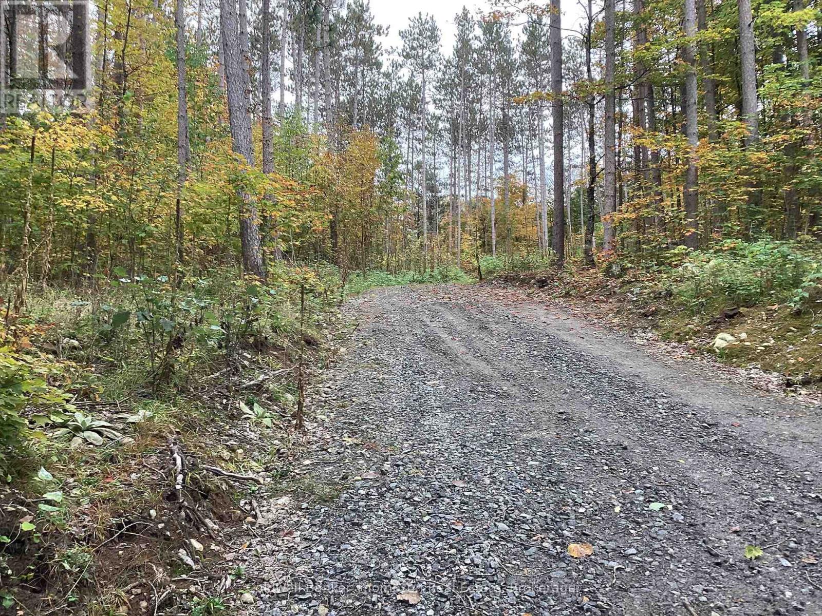 4 Snowshoe Lane, Armour, Ontario  P0A 1L0 - Photo 10 - X12428159