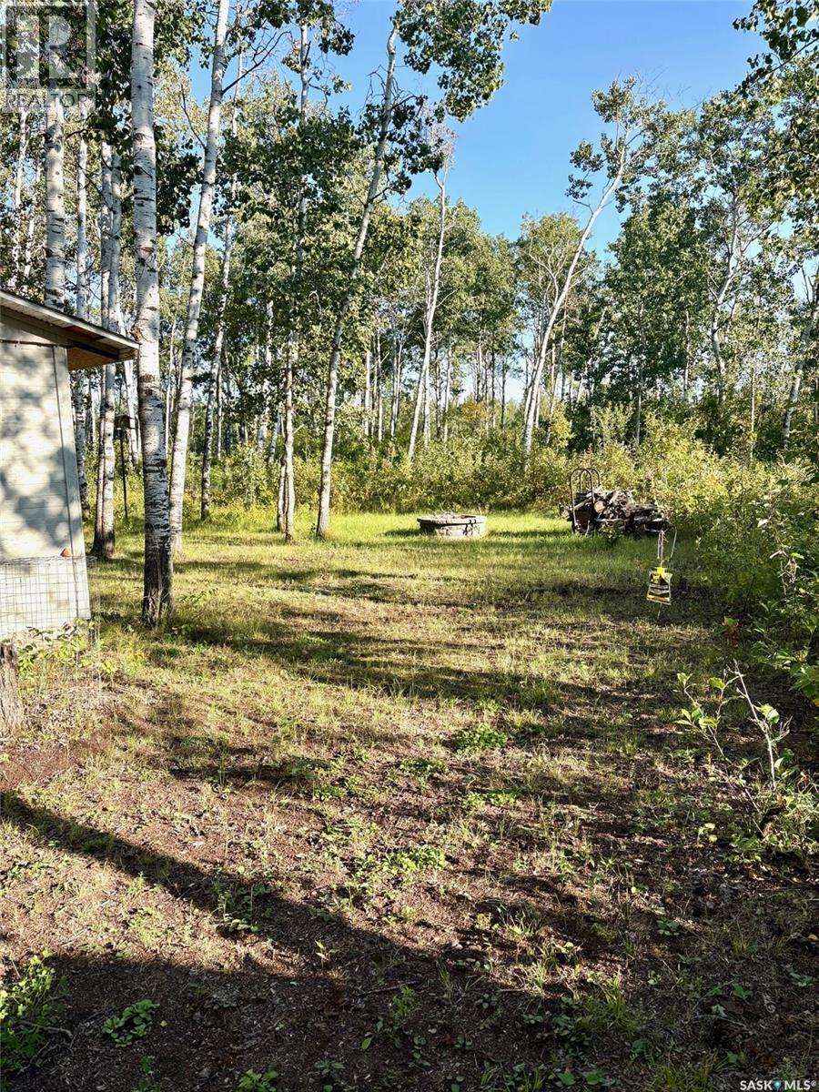 24 Willow Crescent, Good Lake Rm No. 274, Saskatchewan  S0A 3V0 - Photo 4 - SK018370