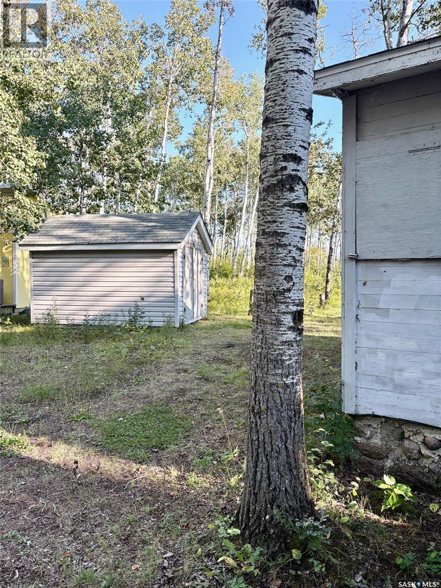 24 Willow Crescent, Good Lake Rm No. 274, Saskatchewan  S0A 3V0 - Photo 6 - SK018370
