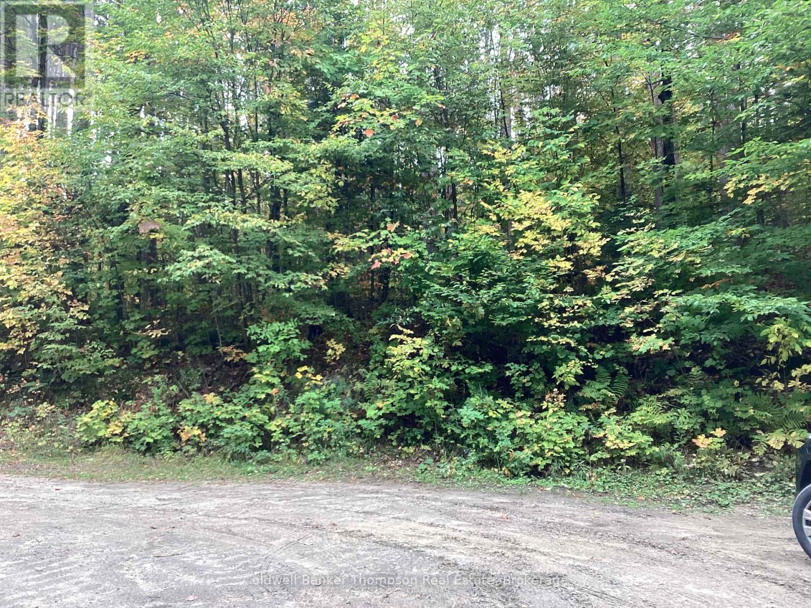 4 Snowshoe Lane, Armour, Ontario  P0A 1L0 - Photo 2 - X12428159