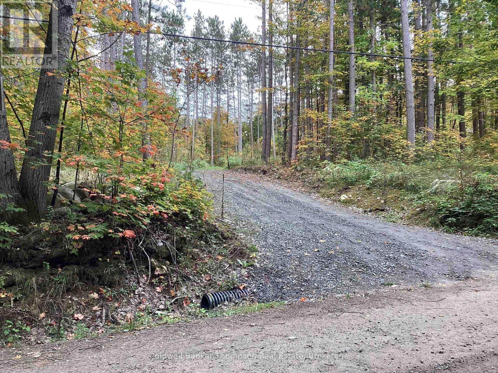 4 Snowshoe Lane, Armour, Ontario  P0A 1L0 - Photo 7 - X12428159