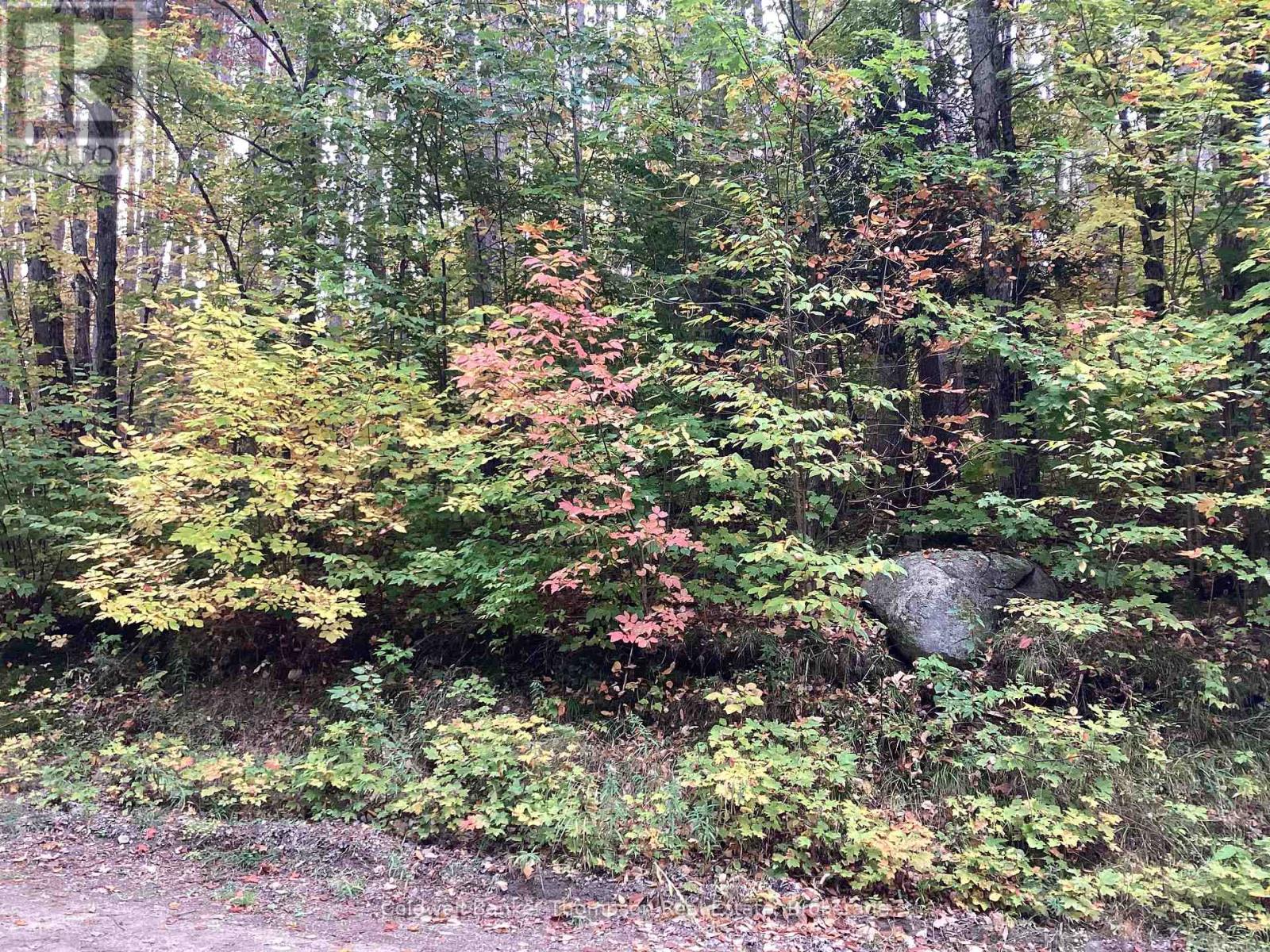 4 Snowshoe Lane, Armour, Ontario  P0A 1L0 - Photo 6 - X12428159