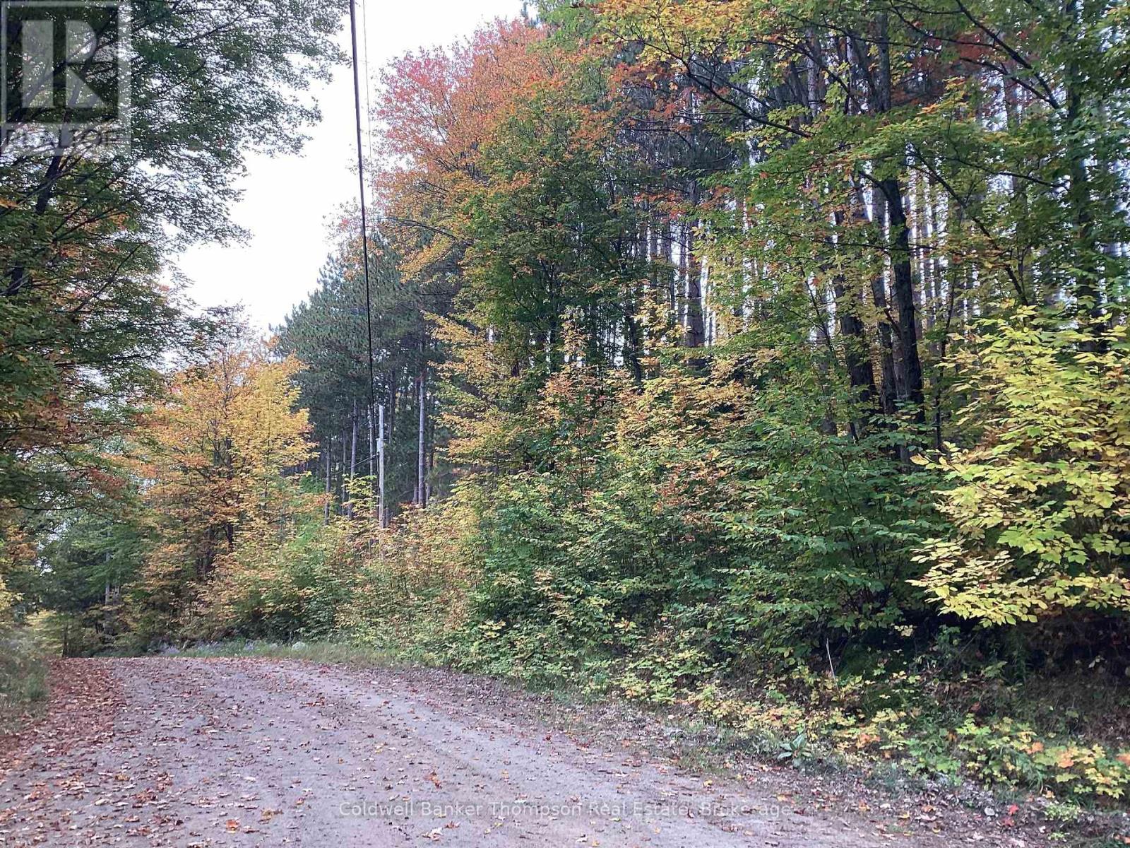 4 Snowshoe Lane, Armour, Ontario  P0A 1L0 - Photo 5 - X12428159