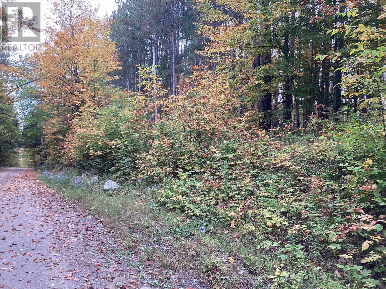 4 Snowshoe Lane, Armour, Ontario  P0A 1L0 - Photo 9 - X12428159