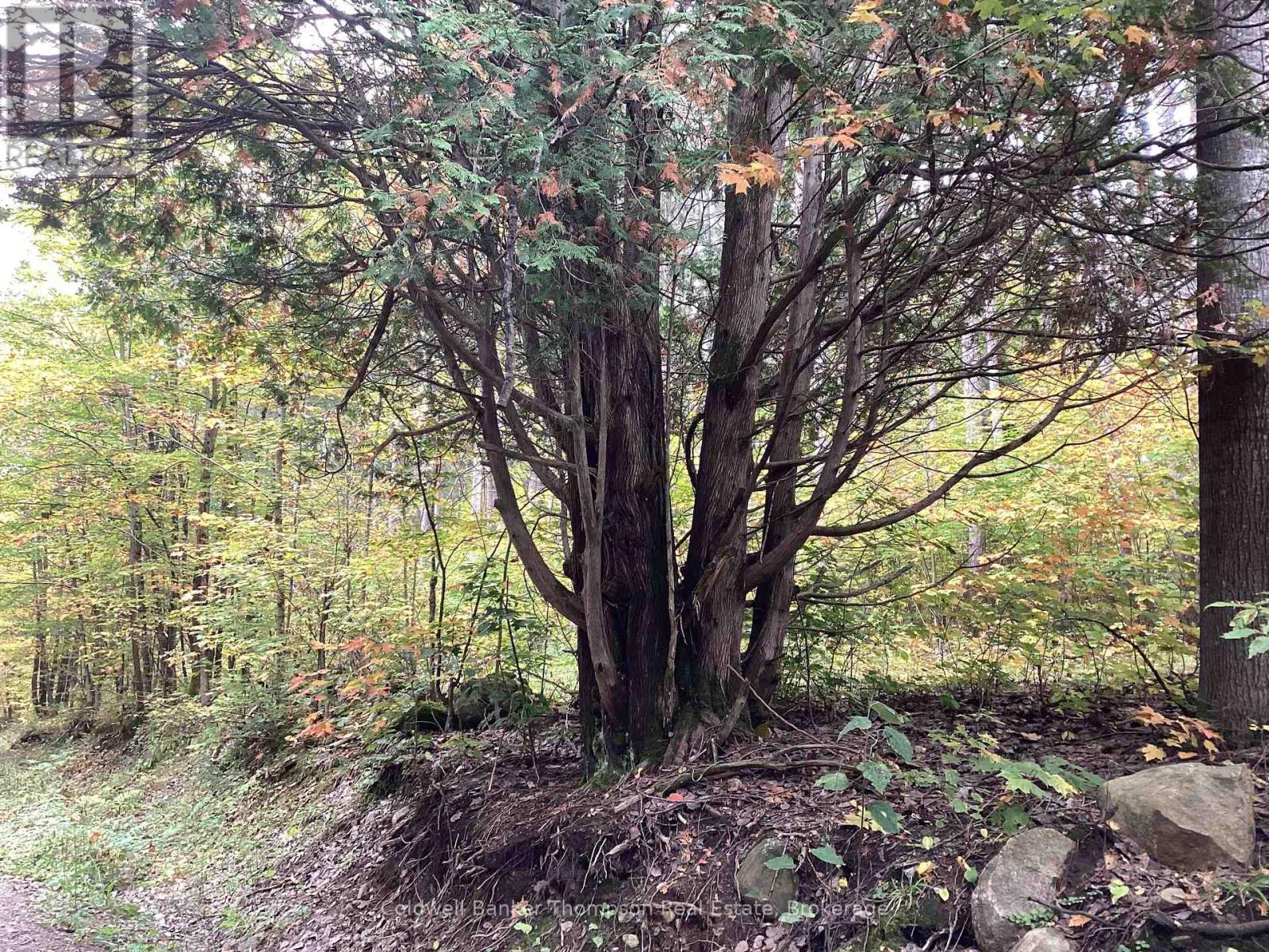 4 Snowshoe Lane, Armour, Ontario  P0A 1L0 - Photo 11 - X12428159