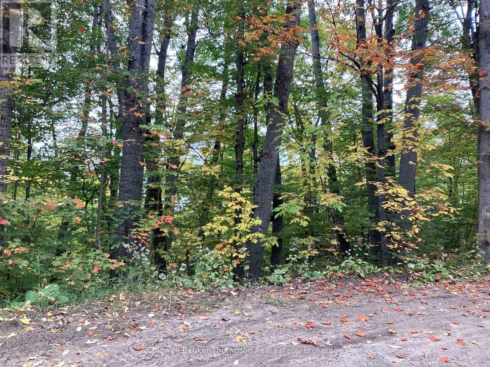 4 Snowshoe Lane, Armour, Ontario  P0A 1L0 - Photo 3 - X12428159