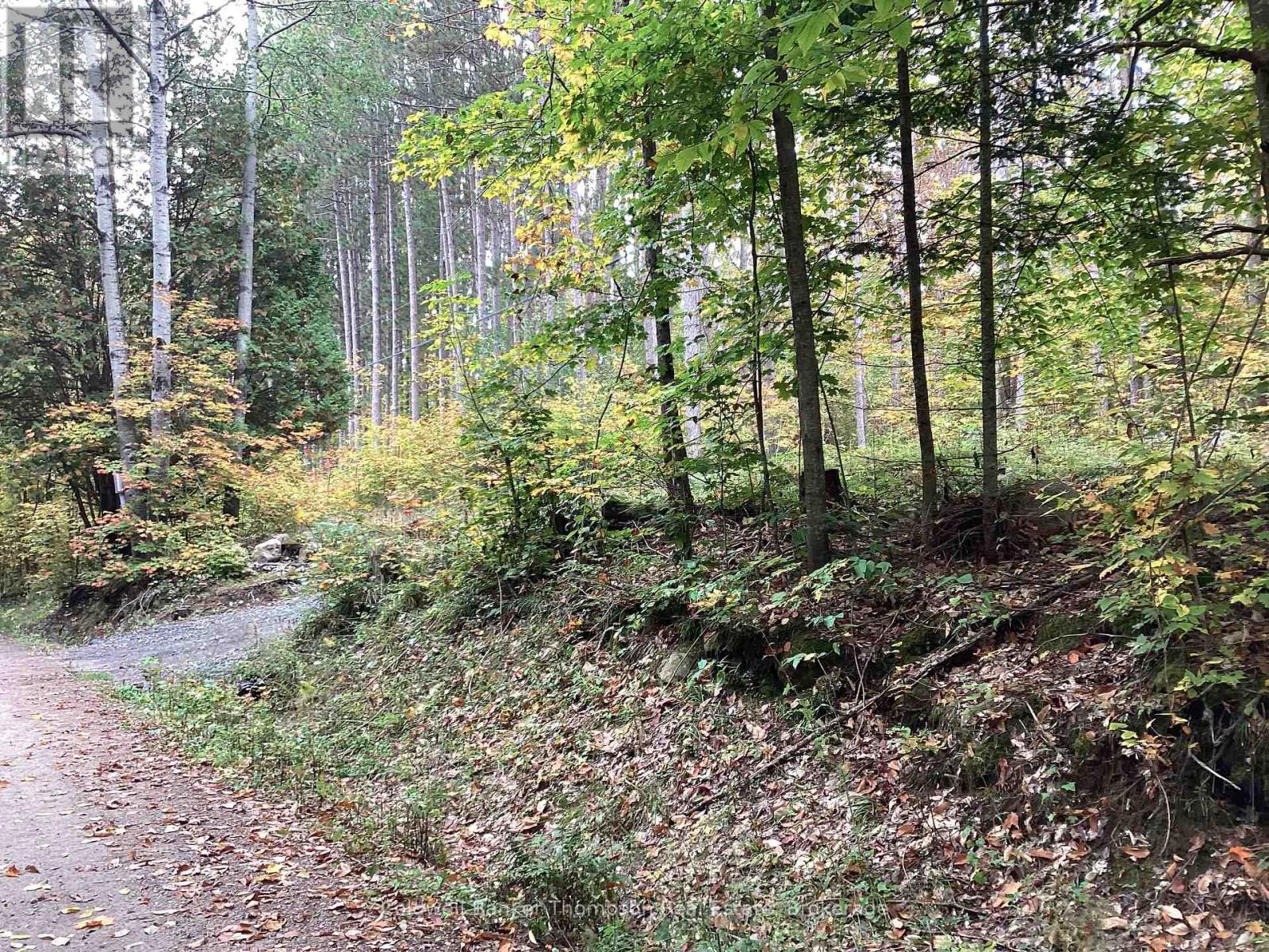 4 Snowshoe Lane, Armour, Ontario  P0A 1L0 - Photo 8 - X12428159