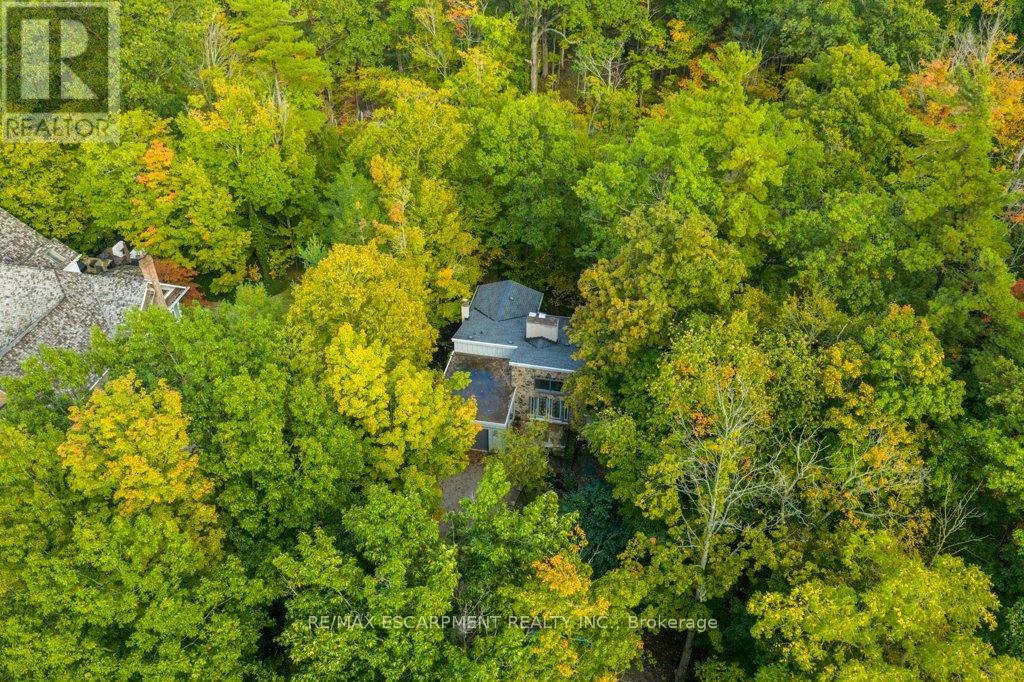 59 Park Road S, Grimsby, Ontario  L3M 4E7 - Photo 4 - X12429381