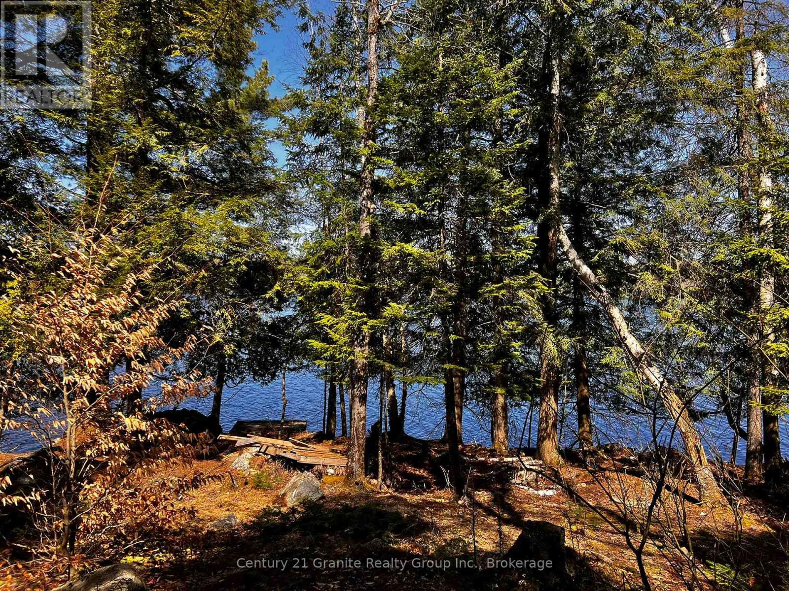 1208 Reg's Trail, Dysart Et Al, Ontario  K0M 1S0 - Photo 15 - X12429515
