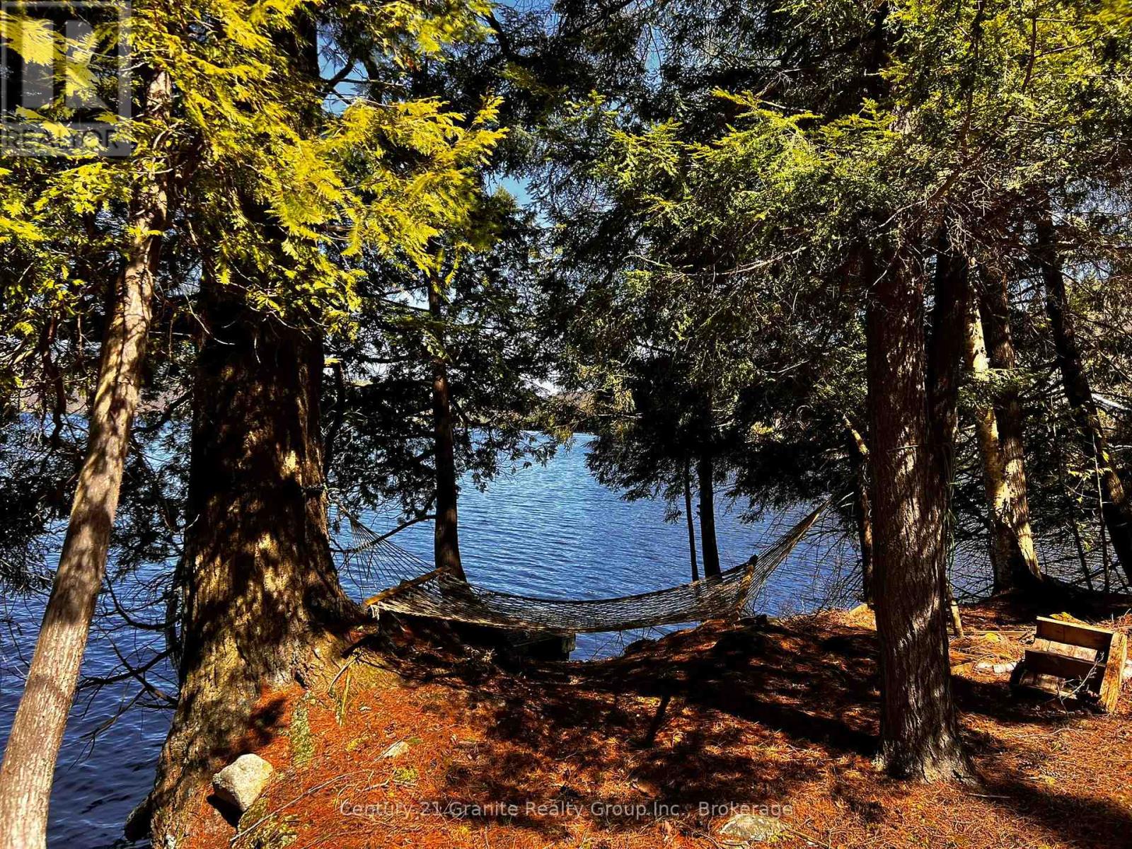 1208 Reg's Trail, Dysart Et Al, Ontario  K0M 1S0 - Photo 6 - X12429515