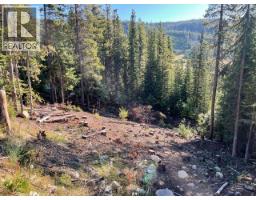 Wapiti Creek Road Lot# 122, oliver, British Columbia