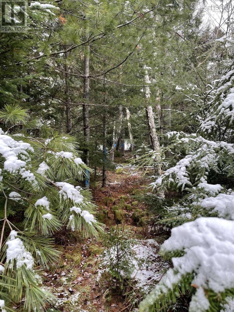 Lot 3 Lapland Road, Lapland, Nova Scotia  B4V 7V1 - Photo 24 - 202400239