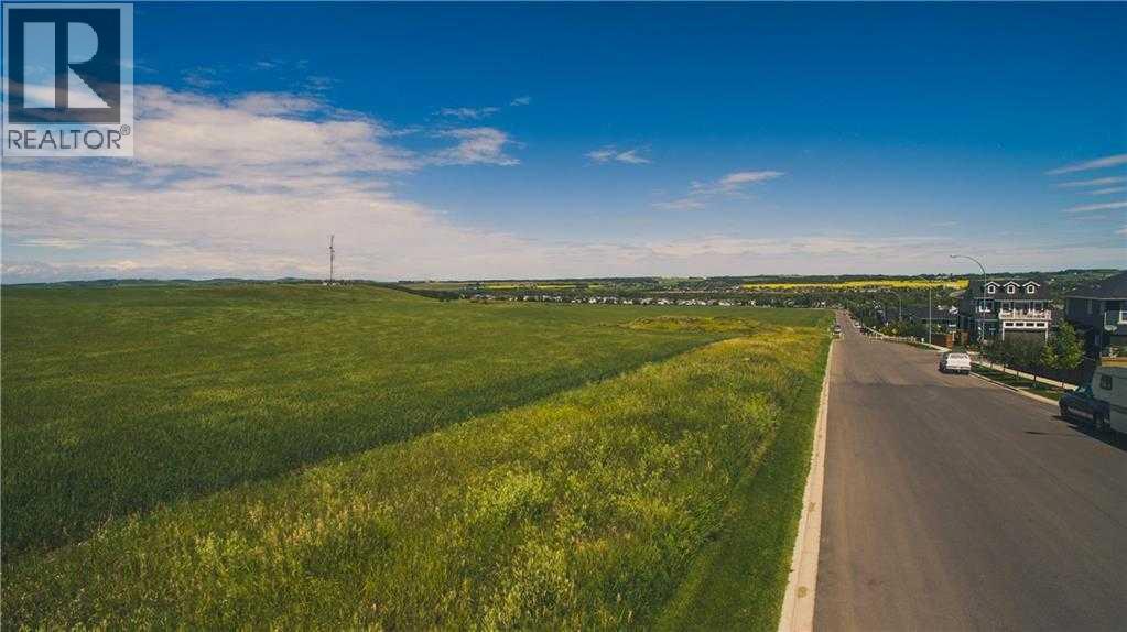 111 Westland Street Street, Okotoks, Alberta  T1S 1A4 - Photo 1 - A2239847