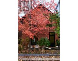 239 BORDEN STREET, Toronto, Ontario