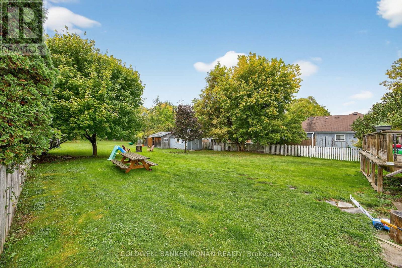 120 Patterson Street, New Tecumseth, Ontario  L0G 1A0 - Photo 30 - N12429561