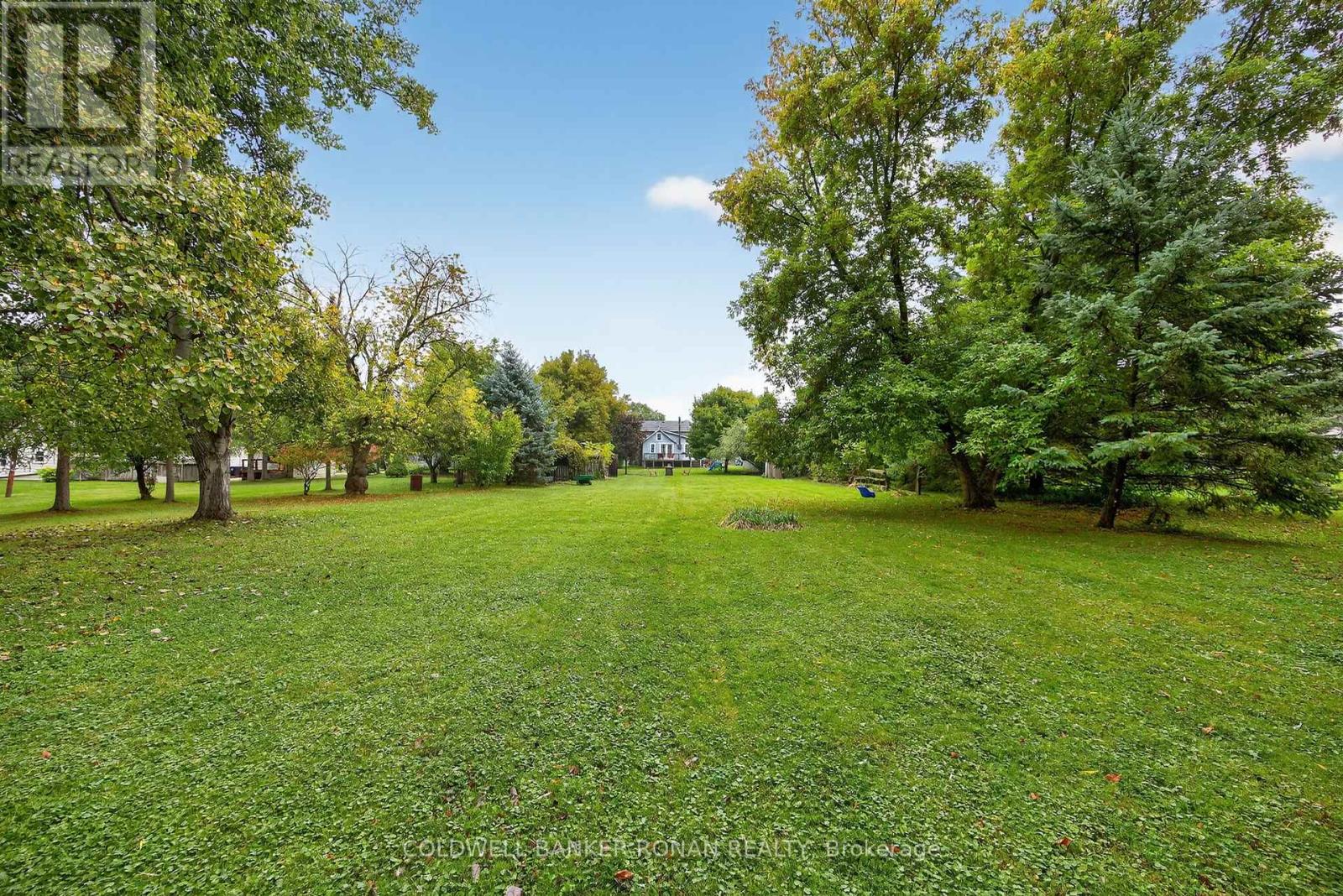 120 Patterson Street, New Tecumseth, Ontario  L0G 1A0 - Photo 33 - N12429561