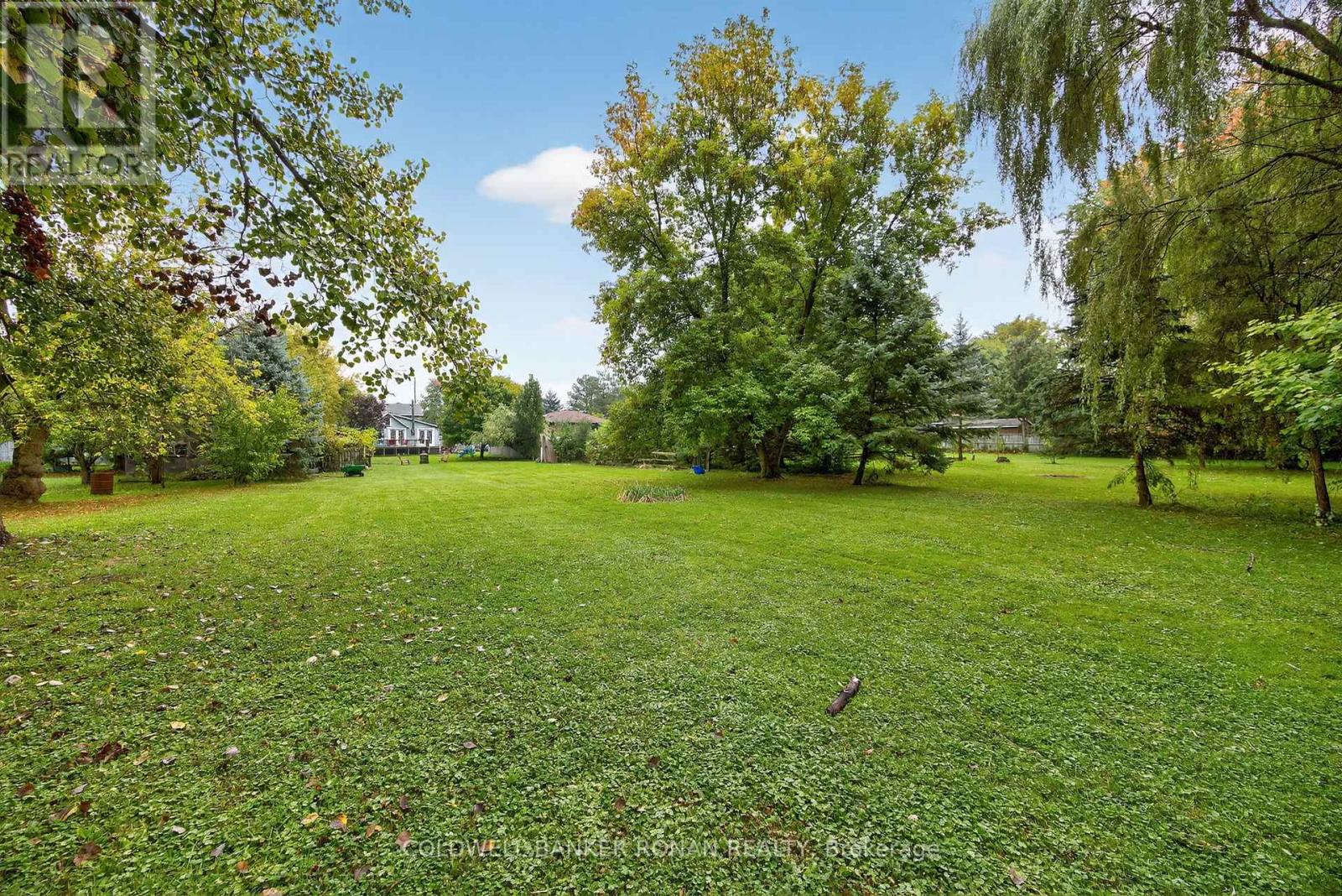 120 Patterson Street, New Tecumseth, Ontario  L0G 1A0 - Photo 35 - N12429561