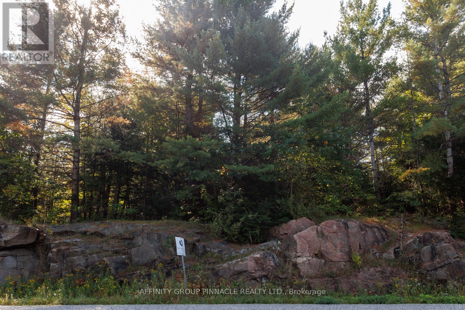 Part 2 - 0 Monck Road, Kawartha Lakes, Ontario  K0M 1X0 - Photo 3 - X12429716